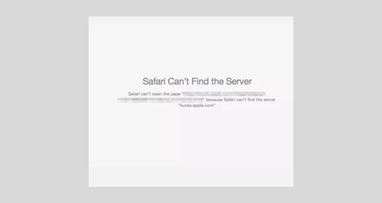 unable to connect to the server or cannot open the page in safari
