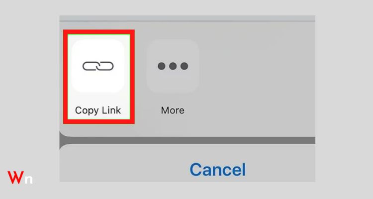 Tap and hold the particular “Video” you want to download and select the ‘Copy Link.”